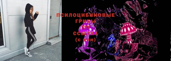 ешки Алексин