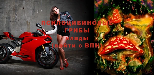ГАЛЛЮЦИНОГЕННЫЕ ГРИБЫ Абдулино