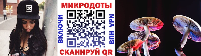 гидра ссылки  сколько стоит  Вышний Волочёк  Галлюциногенные грибы Magic Shrooms 
